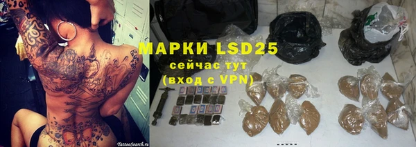 бошки Белокуриха