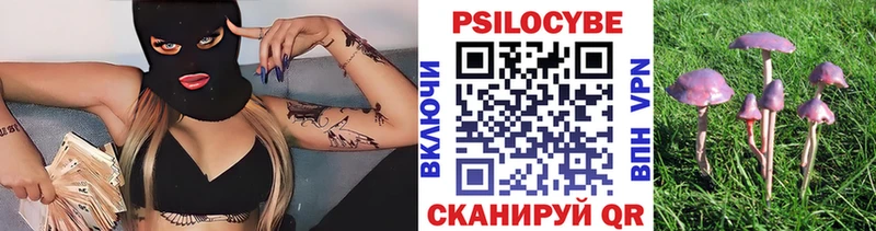 цены   hydra tor  Галлюциногенные грибы Psilocybe  Горно-Алтайск 